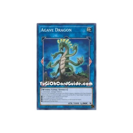 Agave Dragon