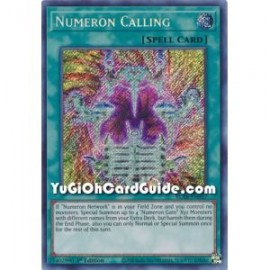 Numeron Calling (Secret Rare)