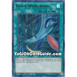 Black Whirlwind (Ultra Rare)