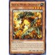 Koa'ki Meiru Overload (Rare)