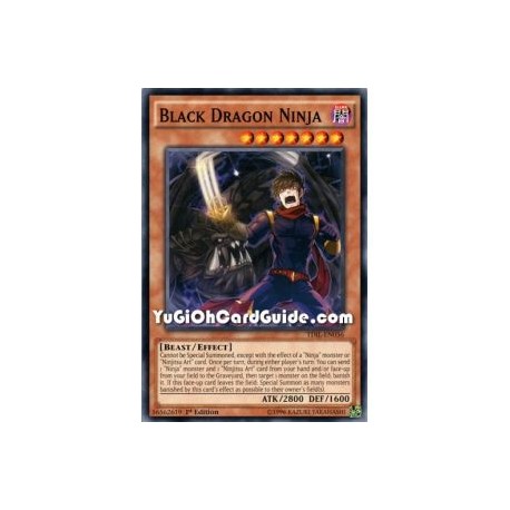 Black Dragon Ninja (Common)