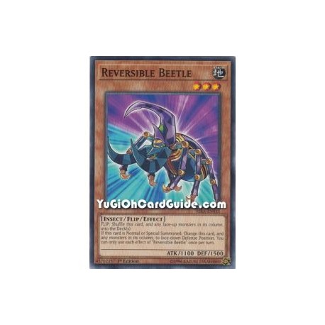 Reversible Beetle (Common)