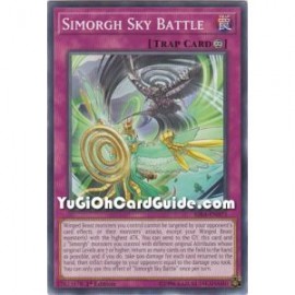 Simorgh Sky Battle (Common)