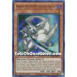 Dragon Buster Destruction Sword (Common)