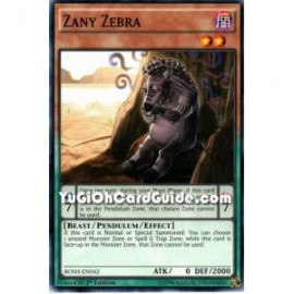 Zany Zebra