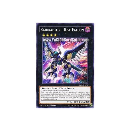 Raidraptor - Rise Falcon (Common)