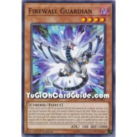 Firewall Guardian (Common)