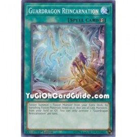 Guardragon Reincarnation