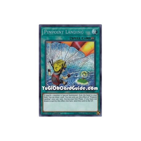 Pinpoint Landing (Secret Rare)