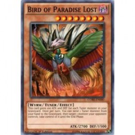 Bird of Paradise Lost