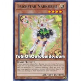 Trickstar Narkissus (rare)