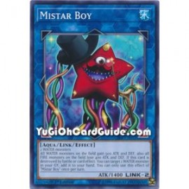 Mistar Boy (Common)