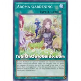 Aroma Gardening