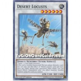 Desert Locusts (Common)