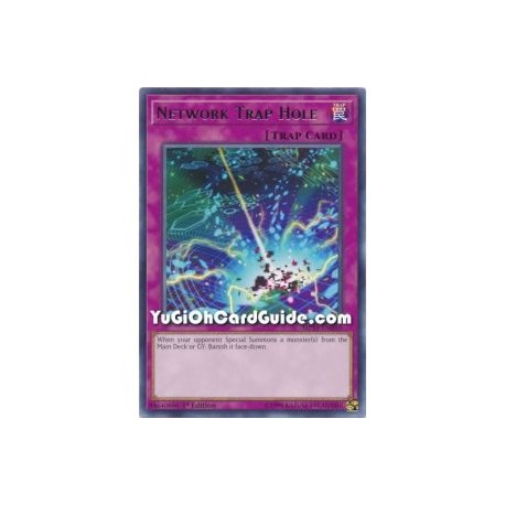 Network Trap Hole (Rare)