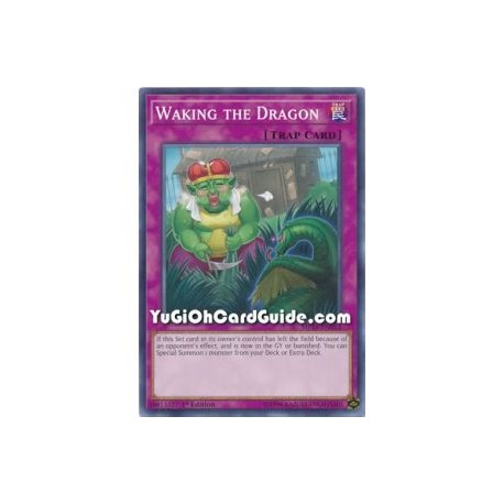 Waking the Dragon (Common)