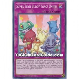 Super Team Buddy Force Unite! (Common)